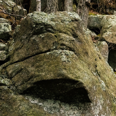 brownphotographic@fosstodon.org