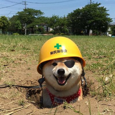 Andrew Zah's avatar