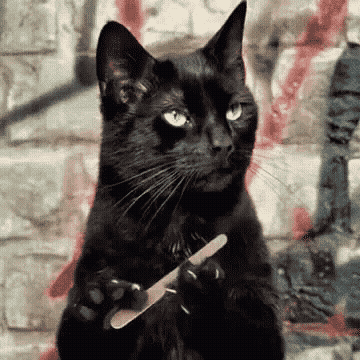 bughuntercat_@fosstodon.org
