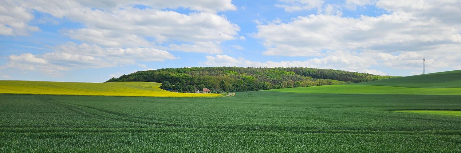 Header Image