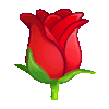 :tg_rose: