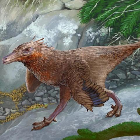 life reconstruction of a very bird-like dinosaur running