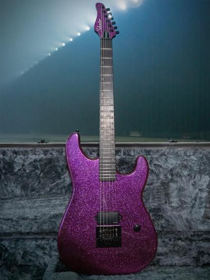 A violet guitar with sparkle finish and dark neck.

It's the Schecter Danskimo-6 with one Fishman Fluence Pickup and Evertune Bridge.