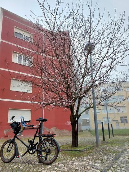 Bicicleta preta de rodas pequenas, junto a uma Arvore com flores rosa e por trás um prédio vermelho com nevoeiro no fundo