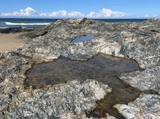 Lifeless rock pools, Sawtell beach, north, NSW