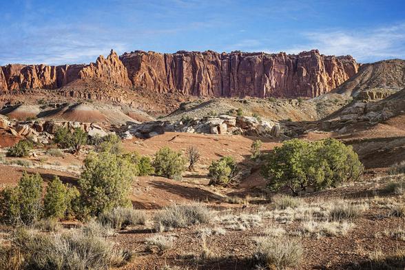 I loved this scenic view in Capitol Reef National Park because of the variety of layers of flora and rock formations from the foreground of shrubs and grasses to the distant red rock cliffs in the background. The scene showcases the rugged beauty of a desert environment with vibrant natural colors.

#capitolreef #nationalpark #landscape #landscapephotography #utah #rocks #rocky #erosion #geology #artistic #shrubs #grasses #BuyIntoArt #AYearForArt #artforsale #wallartforsale #giftideas @joancarroll

https://joan-carroll.pixels.com/featured/capitol-reef-national-park-utah-landscape-joan-carroll.html