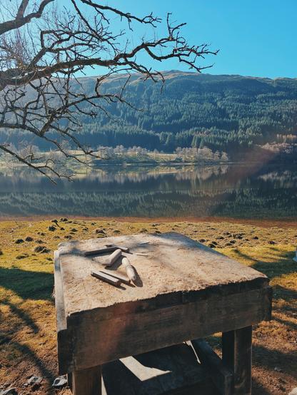 A colour photograph of a loch in the sun. The loch surface is very still. On the shore, we see a large table with tools on it. Across the loch, there is a hill covered in trees.