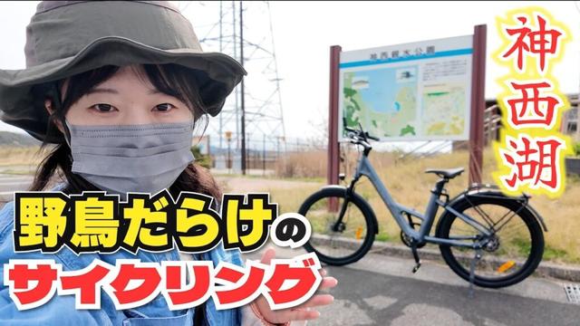 【意外と知られていない⁉︎】神西湖周辺の野鳥観察スポットをサイクリング！