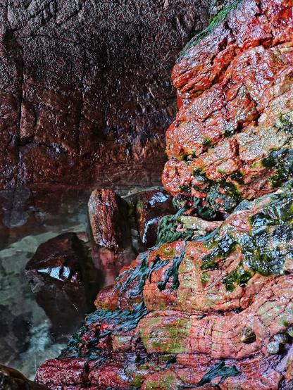 Close-up view of bright red rocks spattered with green algae inside a sea cave, with a clear tidal pool in the background.