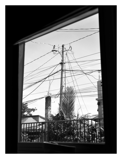A black and white photograph taken from inside, looking out through a window.

The focal point of the view is a utility pole standing in the middle ground. It's cluttered with a dense network of tangled electrical wires that crisscross the sky in various directions. A single streetlamp extends from the pole.

Behind the utility pole, a tall palm tree with feathery fronds reaches upwards. Further in the background, glimpses of buildings and structures can be seen. - Google Gemini