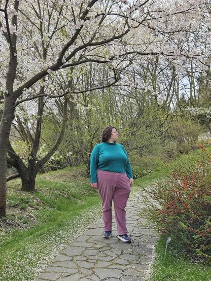 my partner standing on a stone path in a botanical garden between a trimmed bush and a tree blooming in pink. she is wearing a purple-turquoise combination that looks surprisingly good.