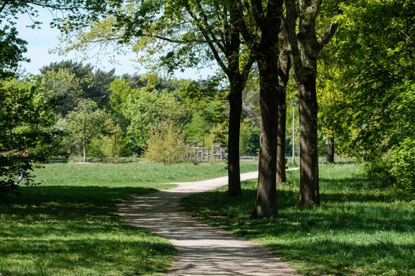 A winding path through a green park with tall trees in Huizen, Netherlands.