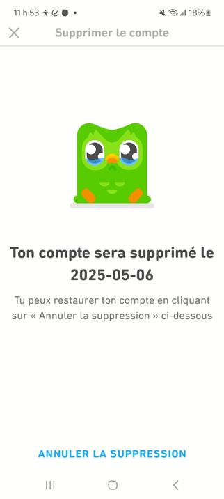Page de mon compte Duolingo en processus de suppression car Duolingo va remplacer ses employés par du AI