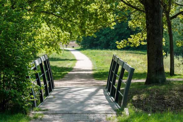 A small bridge over a path surrounded by greenery in a park setting.