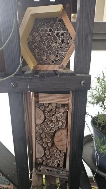 Photo of two bee hotels standing on a jardinière made of dark wood. One is a high rectangle the other one in a hexagonal shape. The many small wooden pipes are closed by little clay caps. Some very few ones are still open. Not visible: in the still open ones the resident bees are settling in for another cool night.