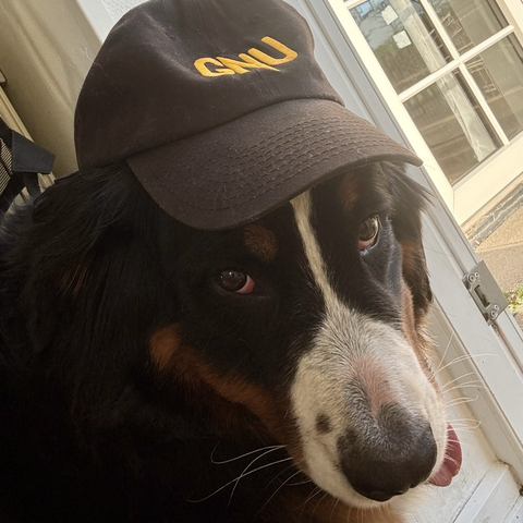 dog wearing a GNU baseball cap