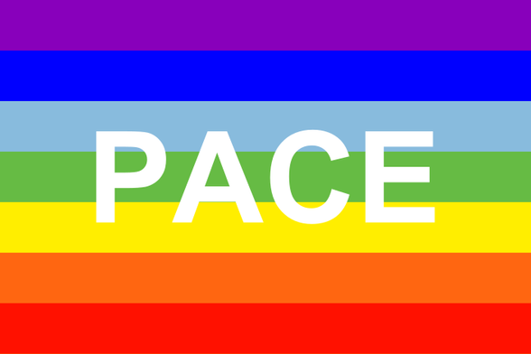 La itala paca flago.
La fono enhavas sep striojn kun sep koloroj de ĉielarko.

La vorto "PACE" (la itala vorto por "PACO") troviĝas en la centro, blanka.