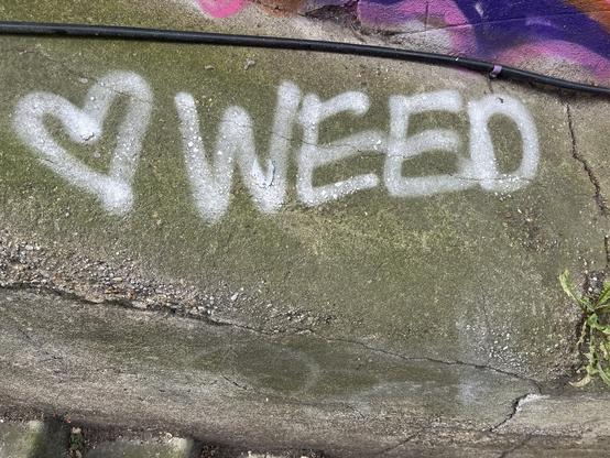 White spray paint on a concrete wall that says “❤️ weed”
