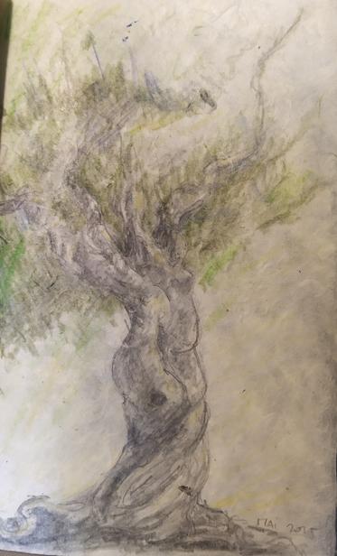 Un dessin aux crayons de couleur et crayon à papier avec un arbre au tronc tortueux qui évoque une silhouette féminine, couronné d'un feuillage vert.