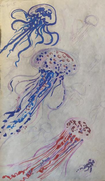 Des méduses dans les tons bleus, violets et roses sont dessinées au crayon de couleur et au pinceau.