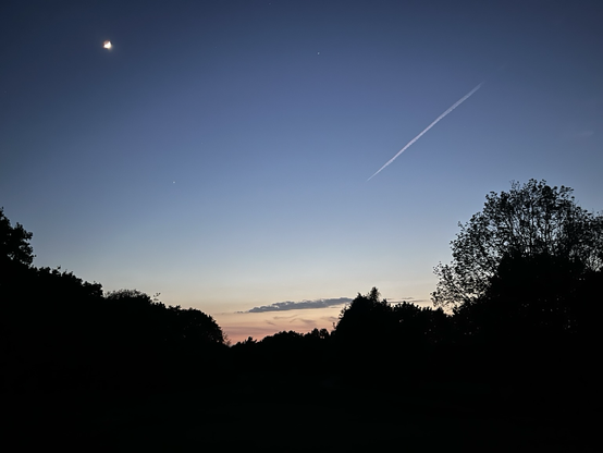 taken at night. Trees bottom third of photo are purely a black silhouette, a little jagged. Above mainly blue sky, very small moon top left, vapour trail diagonally  pointing at 1 o’clock.
