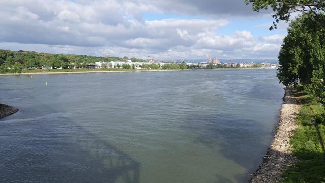 Blick auf Mainz und den Rhein