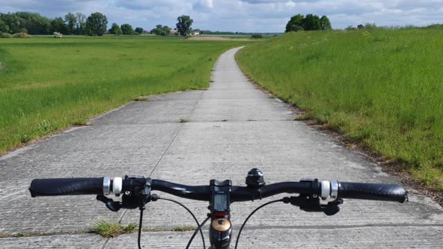 Entlang des Rheindamms