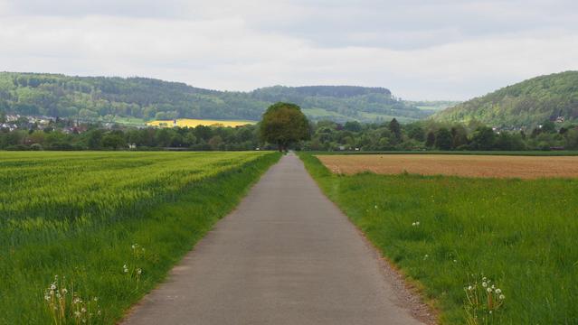 Gerader Weg durch Felder Richtung Waldrand und Hügel