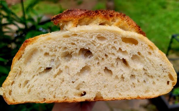 Imagine holding a generous half-loaf of sourdough bread. Its crust, a deep golden brown with hints of toasted edges, feels firm and slightly rough to the touch, like a well-worn path of tiny peaks and valleys.

Now, feel the inside. The crumb is soft and airy, a delicate network of irregular holes of varying sizes, some small like pinpricks, others larger and more cavernous. The texture is yielding and slightly springy, a testament to the fermentation process that gives sourdough its unique character. You can sense the subtle moisture within, promising a satisfying chew. The aroma, even without being able to smell it, would be a complex dance of tangy sourness and warm, baked wheat.