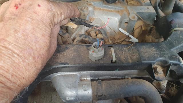 Plug and chewed through wires.