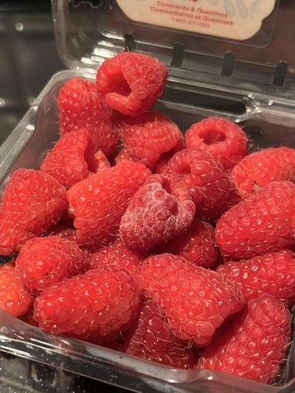 Is this white stuff on my raspberries - mold??