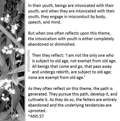In their youth, beings are intoxicated with their youth, and when they are intoxicated with their youth, they engage in misconduct by body, speech, and mind.
But when one often reflects upon this theme, the intoxication with youth is either completely abandoned or diminished.
Then they reflect: ‘I am not the only one who is subject to old age, not exempt from old age. All beings that come and go, that pass away and undergo rebirth, are subject to old age; none are exempt from old age.’
As they often reflect on this theme, the path is generated. They pursue this path, develop it, and cultivate it. As they do so, the fetters are entirely abandoned and the underlying tendencies are uprooted.
~AN5.57