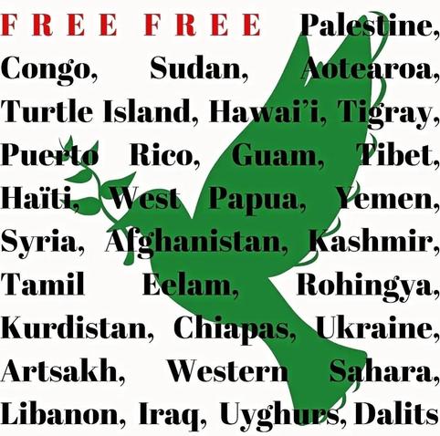 Afbeelding met een grote groene vredesduif die een olijftak vasthoudt, met daaroverheen in zwarte hoofdletters een lijst van onderdrukte of bezette gebieden en gemeenschappen. Bovenaan in rood staat tweemaal het woord "FREE". De landen, regio’s en volkeren die genoemd worden zijn onder andere: Palestina, Congo, Sudan, Aotearoa, Turtle Island, Tigray, Puerto Rico, Tibet, Haïti, West Papua, Afghanistan, Kashmir, Rohingya, Kurdistan, Chiapas, Ukraine, Western Sahara, Uyghurs, en meer. De duif symboliseert vrede, terwijl de tekst oproept tot wereldwijde bevrijding.