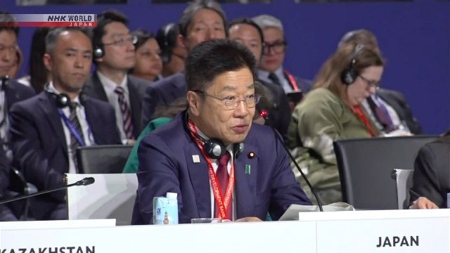 Japan stresses importance of aid to private sector in developing countries