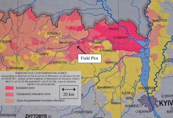 Vaste aree di terreni agricoli colpiti da chornoby in Ucraina possono ora essere coltivati ​​in modo sicuro, affermano gli scienziati | Sci.news