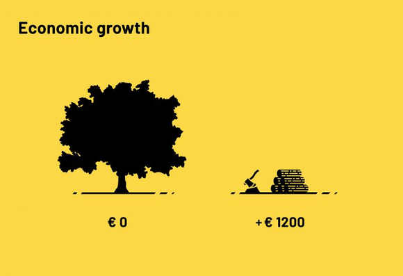 cartoon Johan v. Zanten, 
geel oppervlak met links ’n  boom daaronder €0,00
rechts stapel hout, gezaagd daaronder €1200