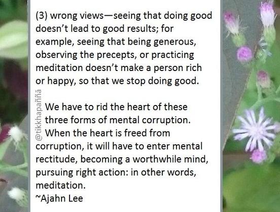 (3) wrong views—seeing that doing good doesn’t lead to good results; for example, seeing that being generous, observing the precepts, or practicing meditation doesn’t make a person rich or happy, so that we stop doing good.
We have to rid the heart of these three forms of mental corruption. When the heart is freed from corruption, it will have to enter mental rectitude, becoming a worthwhile mind, pursuing right action: in other words, meditation.
~Ajahn Lee