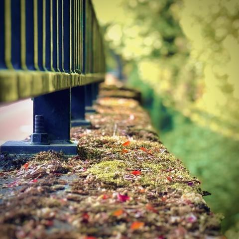 A macro shot along the side edge of a concrete arch bridge looking reveals moss, grass, and other natural greenery blanketing all the way down to the other end.
