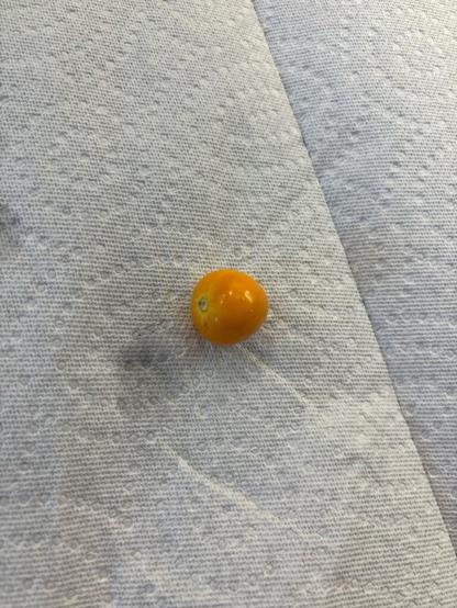 Gooseberries or something else?