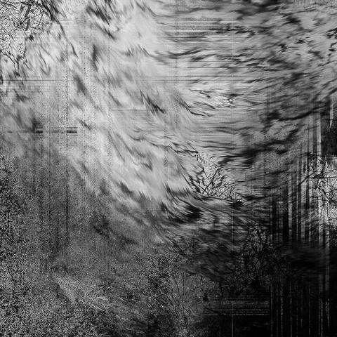 Vincent Dufrène Photographies