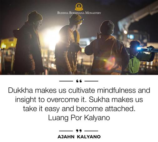 Dukkha makes us cultivate mindfulness and insight to overcome it. Sukha makes us take it easy and become attached.
~Ajahn Kalyano
