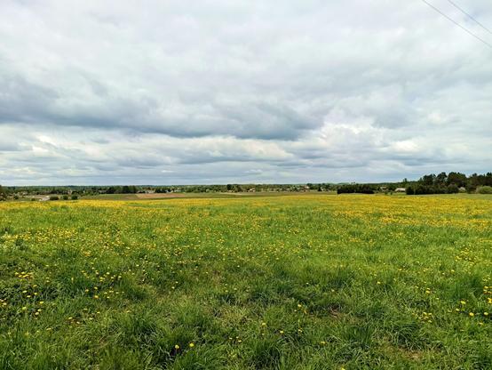 A green meadow with tall grass and many yellow flowers.  The hill slopes downwards towards fields and a distant village. Another farm is on the right between some trees. The clouds above are in bands of dark and light.