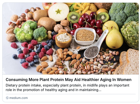 plant based foods
