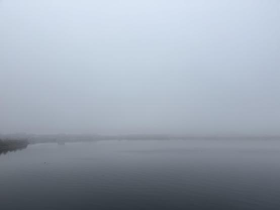 Back Cove in fog.