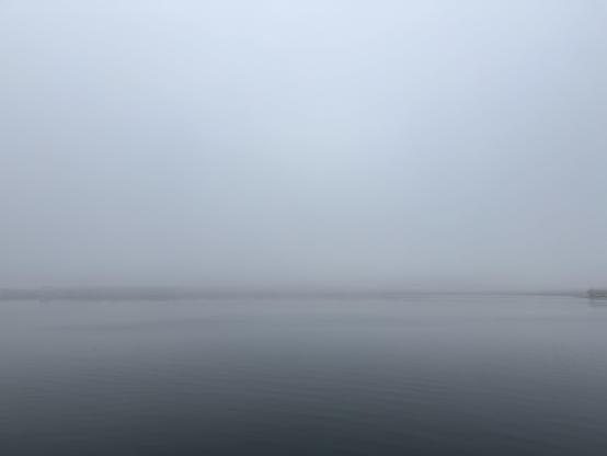 Back Cove in fog.