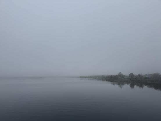 Back Cove in fog.