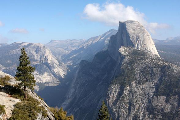 A mountainside tree is in the foreground, with mighty Half Dome as the most prominent feature in the middle background.