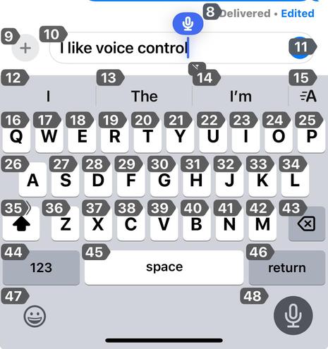 iOS keyboard with Voice Control and "show numbers" enabled. The text field says "I like voice control".