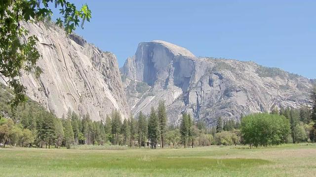 The sun highlights the top of Half Dome and the leaves in the foreground in this view from Yosemite National Park today. Yosemite Valley appears lush and green under a nearly cloudless blue sky. Thanks to the Yosemite Conservancy and the National Park Service for these beautiful images.