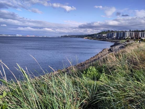 Photo taken at Tacoma's Dune Peninsula Park on a partly cloudy May evening. Seagrass, sea water, and the Point Ruston development. Very small in the distance, the cranes of the Port of Tacoma are visible.